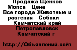 Продажа Щенков Мопса › Цена ­ 18 000 - Все города Животные и растения » Собаки   . Камчатский край,Петропавловск-Камчатский г.